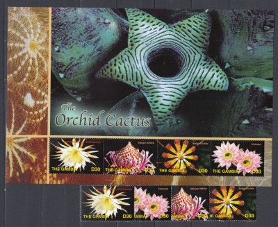 Gambia - Flori - ORHIDEEA CACTUS - XL - MNH foto