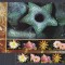 Gambia - Flori - ORHIDEEA CACTUS - XL - MNH
