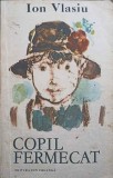 Copil Fermecat - Ion Vlasiu, Ilustratii Octav Grigorescu, Editura Ion Creanga 1984, Carte Copii, Povesti Ilustrate