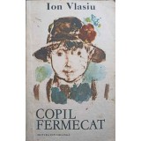 COPIL FERMECAT-ION VLASIU-246554