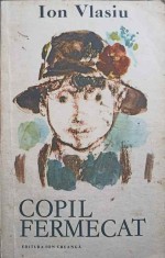 COPIL FERMECAT-ION VLASIU-246554