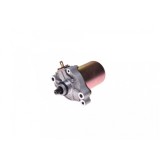 Electromotor Piaggio, 9 dinti