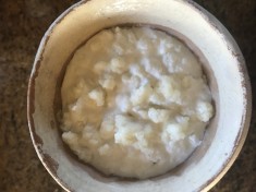 donez ciuperca tibetana pentru kefir foto