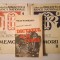 Mihail Manoilescu - Memorii (2 vol.; ed. Valeriu Dinu) + Dictatul de la Viena (memorii iulie - august 1940)