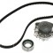 DAYCO KTBWP2910 Pompa apa + kit distributie pentru Fiat Punto Panda Palio, Lancia Y - RESIGILAT