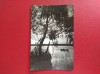 CARTE POSTALA - RSR - APUS DE SOARE IN DELTA DUNARII, Circulata, Fotografie