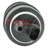 Pompa combustibil BMW Seria 3 Cupe (E46) (1999 - 2006) METZGER 2250038