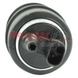 Pompa combustibil BMW X5 (E53) (2000 - 2006) METZGER 2250038