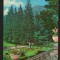 CPIB 22911 - CARTE POSTALA - SLANIC MOLDOVA. VEDERE DIN PARC