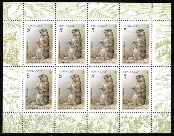 Rusia URSS 1987, Mi #5711 Klb, fauna, marmota, minicoala de 8, MNH, cota 120 &euro;! RARA!