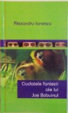 CIUDATELE FANTEZII ALE LUI JOE BABUINUL de ALEXANDRU IONESCU, 2008
