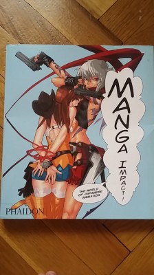 MANGA Impact The World of Japanese Animation anime Japonia cultura desene 500 il foto