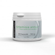 Artemisinin 700 mg 300buc calitate germana (cel mai puternic din lume)