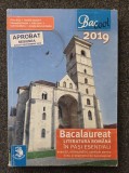BACALAUREAT LITERATURA ROMANA IN PASI ESENTIALI 2019