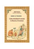 Isihie şi teologie - Paperback brosat - Mitrop. Ier&oacute;theos Vlachos al Nafpaktosului - Sophia