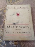 D. Tănase Scativ, Roman