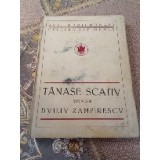 D. Tănase Scativ, Roman