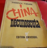 CHINA NECUNOSCUTA HARRISON FORMAN