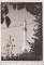 Foto  - 1