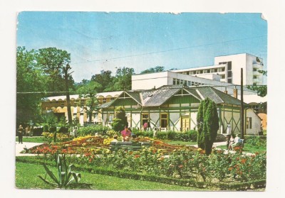 CA12 -Carte Postala- Baile Felix, vedere din parc, circulata 1979 foto