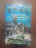 Labirintul vietii prin sarma ghimpata - Gheorghe Manea / R2P2F, Alta editura