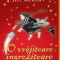 O Vrajitoare Ingrozitoare Si O Vraja Nefasta 3, Jill Murphy - Editura Art