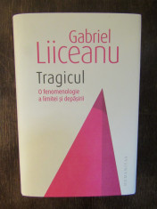 Tragicul. O fenomenologie a limitei si depasirii - Gabriel Liiceanu foto