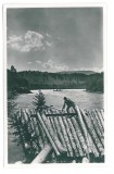 4475 - RAFTING on Bistrita, Romania - old postcard, real PHOTO - unused, Necirculata, Fotografie