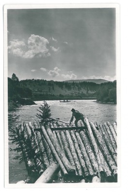 4475 - RAFTING on Bistrita, Romania - old postcard, real PHOTO - unused foto