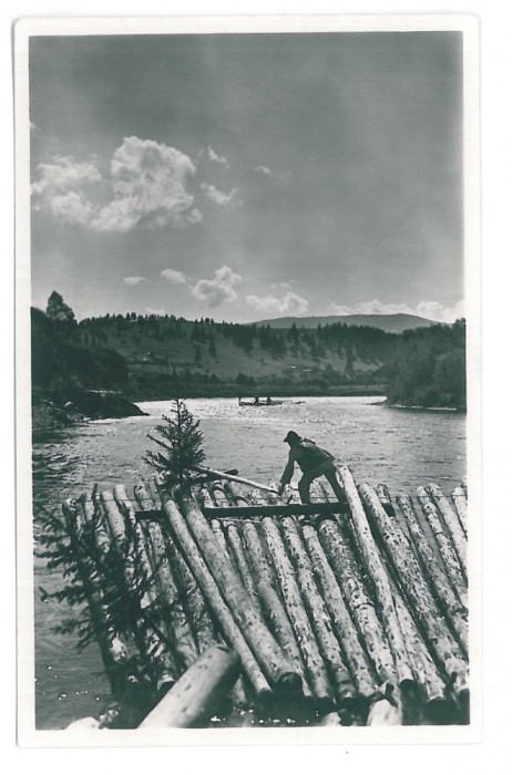 4475 - RAFTING on Bistrita, Romania - old postcard, real PHOTO - unused