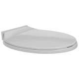 Cumpara ieftin Capac WC cu inchidere silentioasa, gri deschis, oval