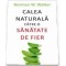 Calea naturala catre o sanatate de fier - Norman W. Walker