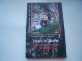 Sarpele lui Nicodim si alte simboluri misterioase ale romanilor - Dan-Silviu Boerescu