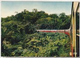 Bnk cp Congo - Tren de calatori in padurea Mayombe - necirculata, Printata