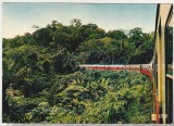 bnk cp Congo - Tren de calatori in padurea Mayombe - necirculata