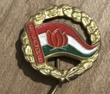 ISGSTR2 Insignă veche comunistă Ungaria &bdquo;Előre - Kiv&aacute;l&oacute; &Uacute;tt&ouml;rő Munk&aacute;&eacute;rt&rdquo; / Pionieri maghiari vintage