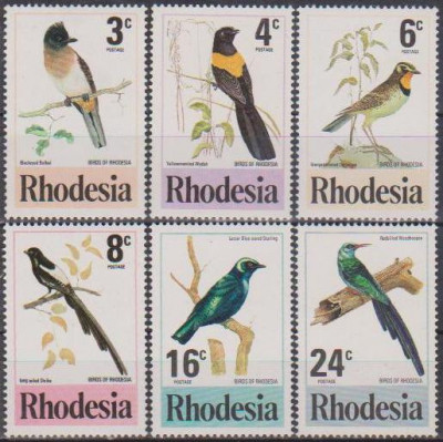 RHODESIA - 1977 - PASARI foto