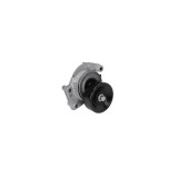 Intinzator curea LEXUS GS UZS161 JZS160 UZS160 DAYCO APV2483