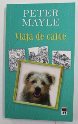VIATA DE CAINE de PETER MAYLE , desene de EDWARD KOREN , 2014 foto