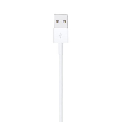 LIGHTNING TO USB CABLE (1 M)-ZML foto