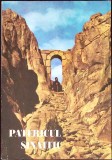 PATERICUL SINAITIC-DIMITRIOS TSAMIS-259100