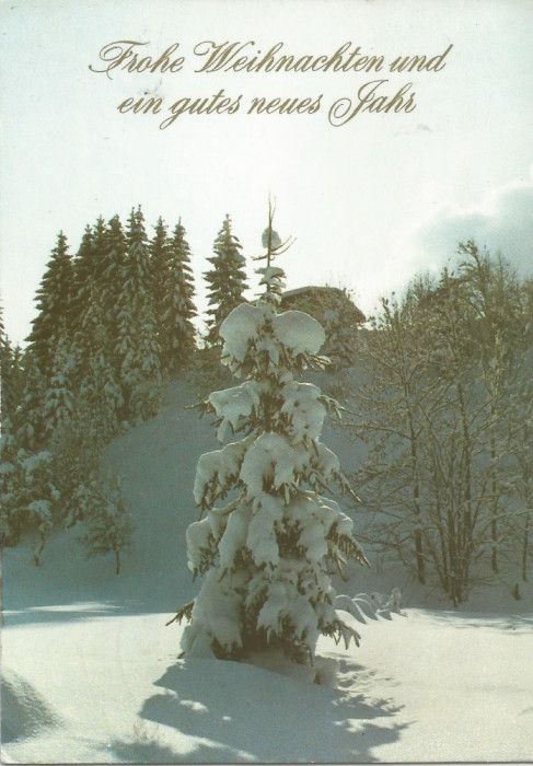 Germania, carte postala, felicitare de Craciun, circulata in Romania, 1991