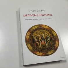 PR VASILE MIHOC,CREDINTA SI INTELEGERE.INVATATURA ORTODOXA INPERSPECTIVA BIBLICA