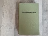 Mica enciclopedie a padurii de Ioan Iancu