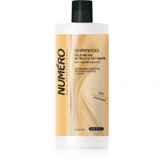 Brelil Professional Nourishing Shampoo sampon hranitor unt de shea 1000 ml