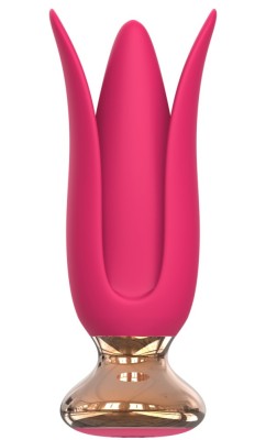 Vibrator Two Panel Roz foto