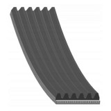 Febi Bilstein Curea transmisie cu caneluri