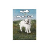 Apollo the Angora Goat