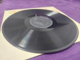 Disc vinil/vinyl vechi MOTANUL INCALTAT POVESTEA BOABELOR DE DIAMANT Charles Per