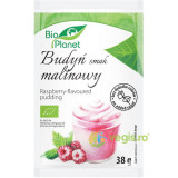 Budinca de Zmeura Ecologica/Bio 38g